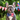 Patriotic Pup Real Estate Image