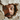 Professional wide-eyed man peering through damaged wall hole - high-quality image for marketing and content creation