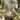 A fluffy, light brown bunny with large ears and a small pink bow sits in a natural nest filled with brightly decorated Easter eggs. The scene is set in a soft-focus, sun-drenched spring garden, with colorful yellow and white flowers, and a blurred dessert on a plate in the foreground. The image evokes a cheerful and whimsical Easter holiday atmosphere.