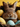 A very close-up, eye-level shot of a small brown bunny's face, looking directly at the viewer with dark, shiny eyes. The bunny is nestled within a dark, textured material, possibly a nest, which partially obscures its body. Around the bunny are several pastel Easter eggs: bright yellow ones with white polka dots and light blue ones with faint yellow-orange polka dots. The background is a vibrant, solid yellow, creating a bright and festive setting.