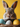 A very close-up, eye-level shot of an adorable brown and grey rabbit's face, with its large dark eyes, pink nose, and long whiskers in sharp focus. Below the rabbit, a blue, a speckled white, and a dotted yellow Easter egg are visible in a brown woven basket, all set against a bright yellow blurred background.