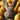A charming close-up vertical shot features a fluffy light brown bunny with large, alert ears, dark brown eyes, and a delicate pink nose, looking directly at the viewer. The bunny is nestled in what appears to be a brown woven basket, surrounded by numerous bright golden yellow eggs, many adorned with subtle white speckles. The background is a soft blur of more yellow eggs, creating a warm, festive, and adorable scene, highlighting the bunny's innocence.