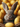 A charming close-up vertical shot features a fluffy light brown bunny with large, alert ears, dark brown eyes, and a delicate pink nose, looking directly at the viewer. The bunny is nestled in what appears to be a brown woven basket, surrounded by numerous bright golden yellow eggs, many adorned with subtle white speckles. The background is a soft blur of more yellow eggs, creating a warm, festive, and adorable scene, highlighting the bunny's innocence.