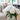 A clear glass vase holding a vibrant bouquet of lush white peonies with green leaves sits on a round white marble-top table with gold trim. In the softly blurred background, a bright, modern open-plan living space is visible, featuring a neutral-colored sofa with a sage green pillow, large windows with white curtains, and a contemporary kitchen area with dark bar stools. The entire scene is bathed in natural light, conveying an atmosphere of freshness and serene elegance.