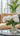 A vibrant bouquet of white peonies with green stems and leaves sits in a clear glass vase on a round, black-rimmed reflective glass coffee table. In the soft-focused background, a beige sofa is visible, along with bright natural light from a window and a large green houseplant on the right, creating a serene and modern home interior scene.
