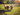 Two fluffy, light-brown dogs, likely Cockapoos or a similar doodle breed, are captured in a dynamic action shot, running and jumping forward on bright green grass. The scene is bathed in warm, golden sunlight from the upper right, highlighting their fur and casting soft shadows. Blurred green trees form the background, suggesting an open park or field, and their energetic movement conveys a strong sense of joy and playfulness.