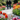 A man and a woman, viewed from behind, walk hand-in-hand along a sunlit gravel path through a vibrant spring garden. The path is flanked on both sides by abundant rows of brightly colored tulips in shades of red, yellow, orange, white, and pink, leading towards a lush background of green trees and bushes. Blurred tulips in the foreground frame the scene, creating a sense of depth and focus on the couple and the blooming garden.