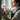 A young woman with dark hair pulled back is shown in profile, looking out a window as she carefully arranges a bouquet of pink peonies. She wears a white collared shirt and a dark apron, with her face and the flowers softly illuminated by natural light streaming through the multi-pane window. Her hands hold a clear glass vase filled with vibrant pink peony blooms and green foliage, positioned on a light-colored windowsill.