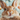 A very close-up, head-on shot of a fluffy brown rabbit with long whiskers and large, dark eyes looking directly forward. Its pink nose and slightly open mouth are prominent. Two blurry, pastel-colored eggs, one yellowish-orange and one peach, appear to float on either side of its head against a soft, light blue and white bokeh background. The rabbit's forepaws are visible at the bottom, suggesting a 'selfie' perspective.